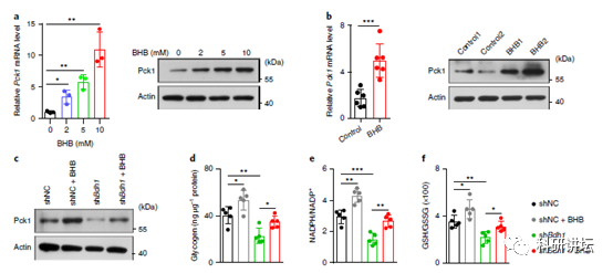 华中科技大学黄波教授评上长江和杰青后再次在顶级期刊上发表论文