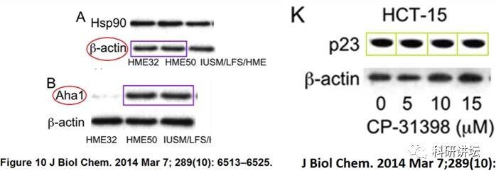 Andrew J Dannenberg 研究团队又有 9 篇 SCI 论文被撤稿