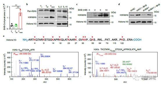 华中科技大学黄波教授评上长江和杰青后再次在顶级期刊上发表论文