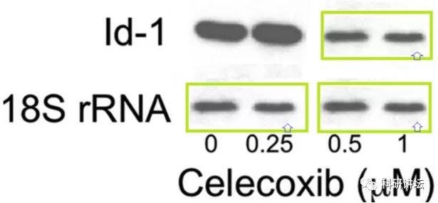 Andrew J Dannenberg 研究团队又有 9 篇 SCI 论文被撤稿