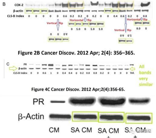 Andrew J Dannenberg 研究团队又有 9 篇 SCI 论文被撤稿