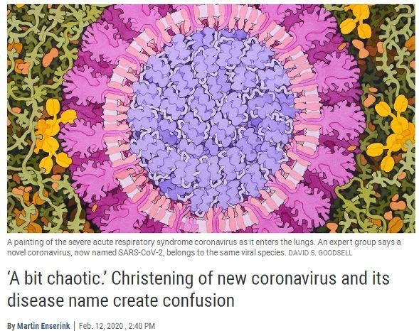 新型冠状病毒正式命名却遭中国科学家的反对