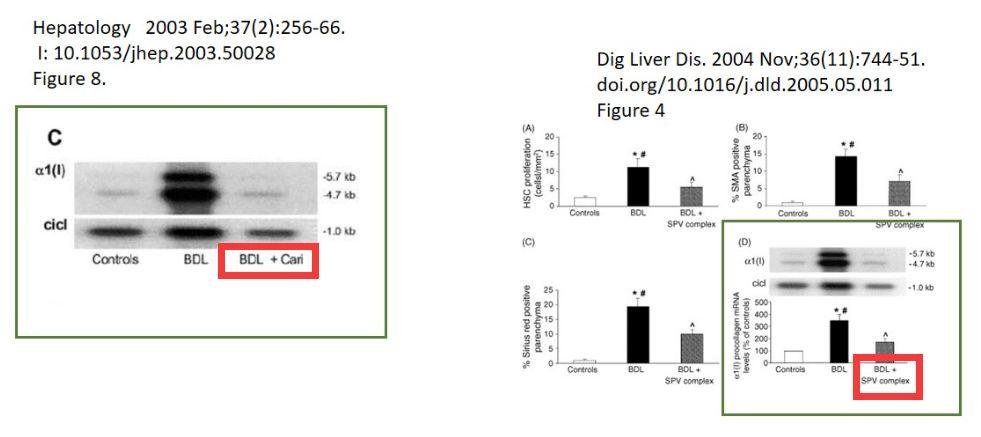 Antonio Benedetti 教授 37 篇署名文章被质疑学术不端