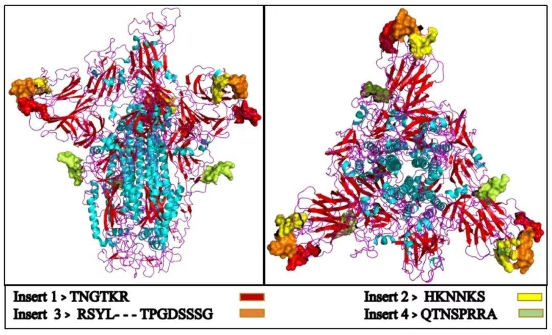 新型冠状病毒系人为制造？引起漫天谣言的奇葩论文将撤稿