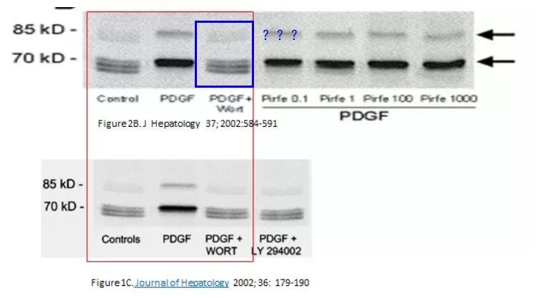 Antonio Benedetti 教授 37 篇署名文章被质疑学术不端