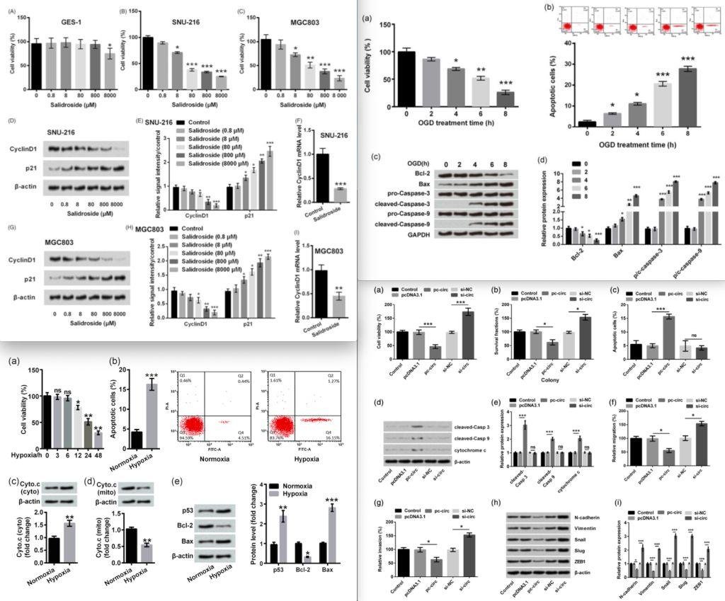 Elisabeth Bik 揭露 400 篇论文思路雷同 多家三甲医院在列 Elisabeth Bik 揭露 400 篇论文思路雷同 多家三甲医院在列