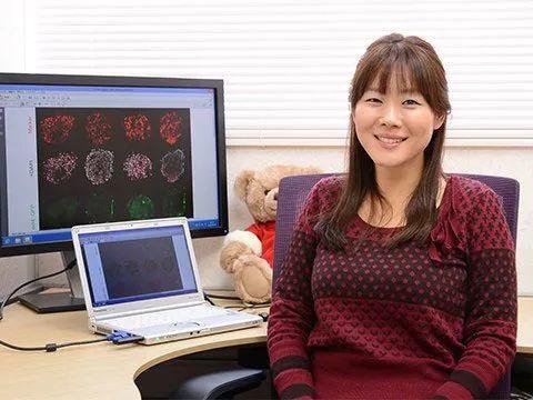 小保方晴子前导师自杀 文章再次被撤回 小保方晴子前导师自杀 文章再次被撤回