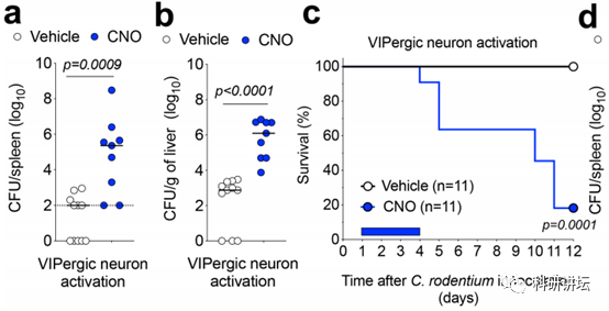 论文被撤稿后 Dan R. Littman 教授又连发两篇 Nature