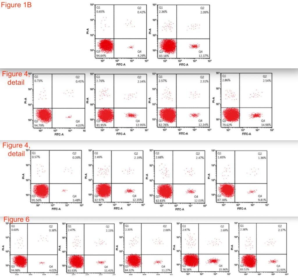 Elisabeth Bik 揭露 400 篇论文思路雷同 多家三甲医院在列 Elisabeth Bik 揭露 400 篇论文思路雷同 多家三甲医院在列