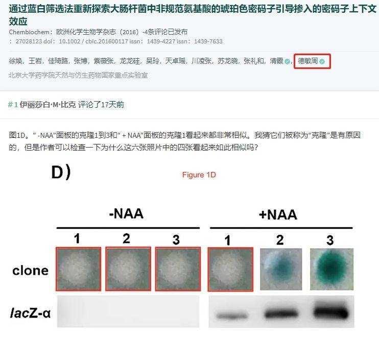 北大药学院周德敏院长被指涉嫌学术造假 同组院士做出回应