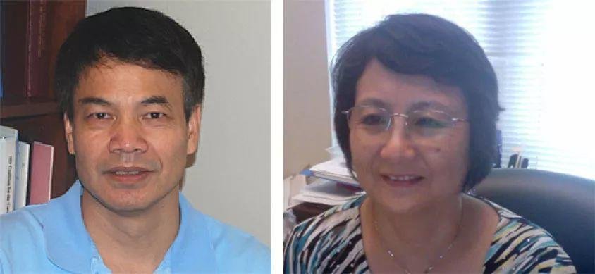 著名生物学家李晓江教授“遭解雇 被捕及宣判”始末