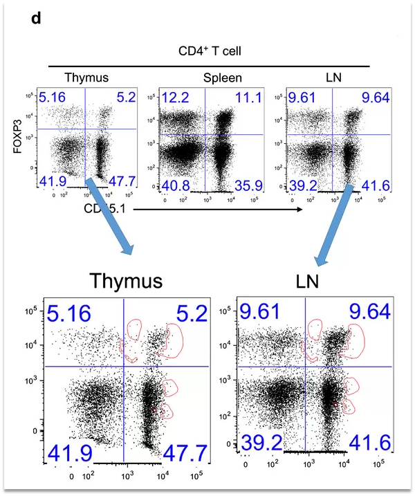 清华医学院院长董晨回应 24 篇论文被质疑造假