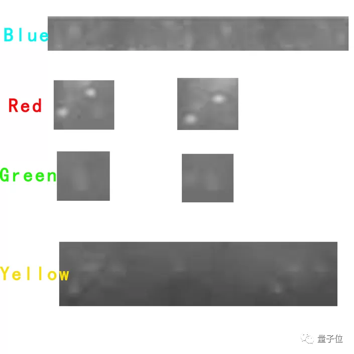 南开校长曹雪涛团队论文被调查可信性 此前被举报实验图片有 PS 痕迹
