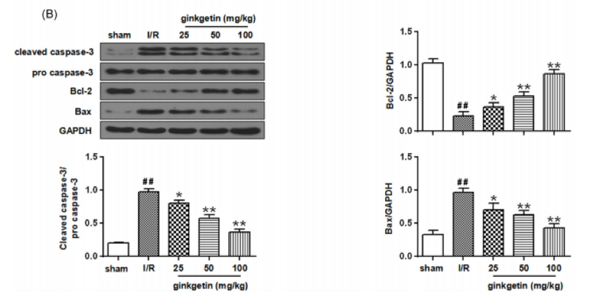lisabeth M Bik 发现中国 7 个课题组伪造伦理审批
