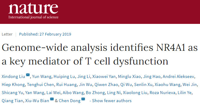 清华医学院院长董晨回应 24 篇论文被质疑造假