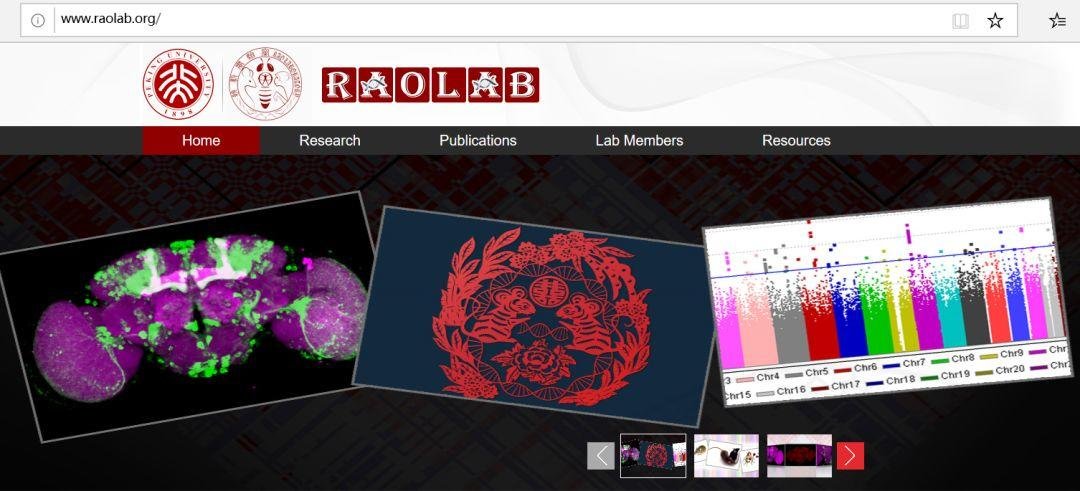 饶毅教授学术成果盘点