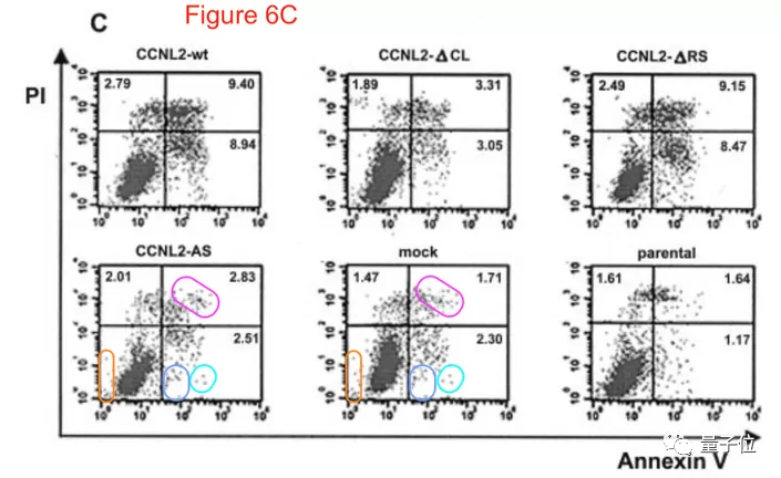 南开校长曹雪涛团队论文被调查可信性 此前被举报实验图片有 PS 痕迹