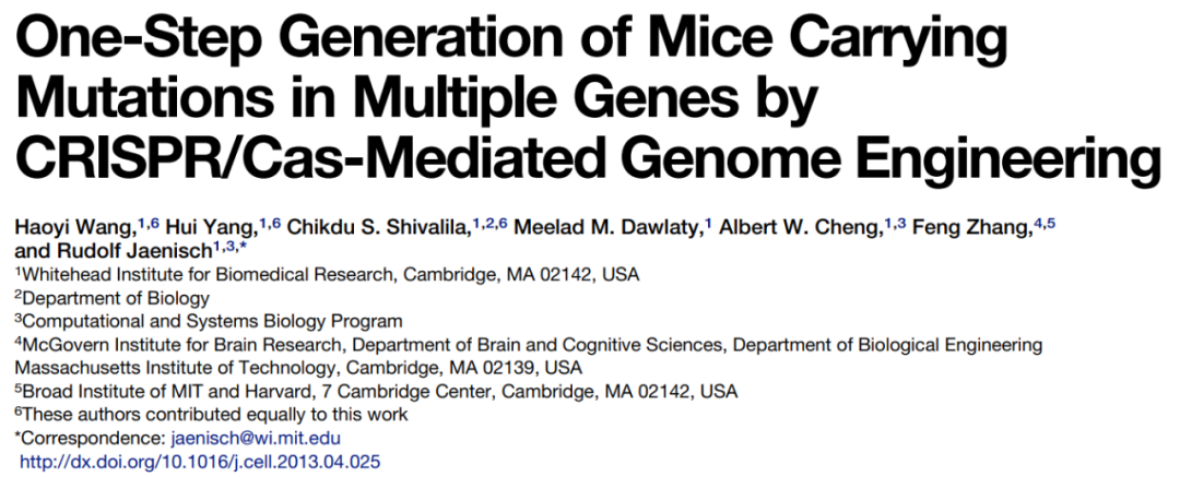 杨辉本人回应质疑称纯属污蔑！付向东教授又会如何回应？