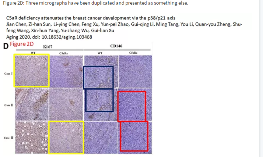 Aging 已被篇学术打假人 ” 重点关注 ” 多篇中国学者论文被指存在问题