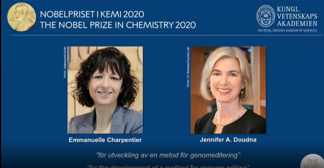 CRISPR 三巨头恩怨大结局 张锋赢得专利但错失诺奖