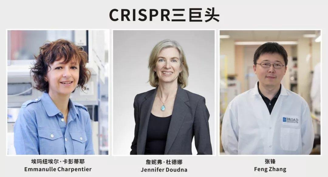 CRISPR 三巨头恩怨大结局 张锋赢得专利但错失诺奖