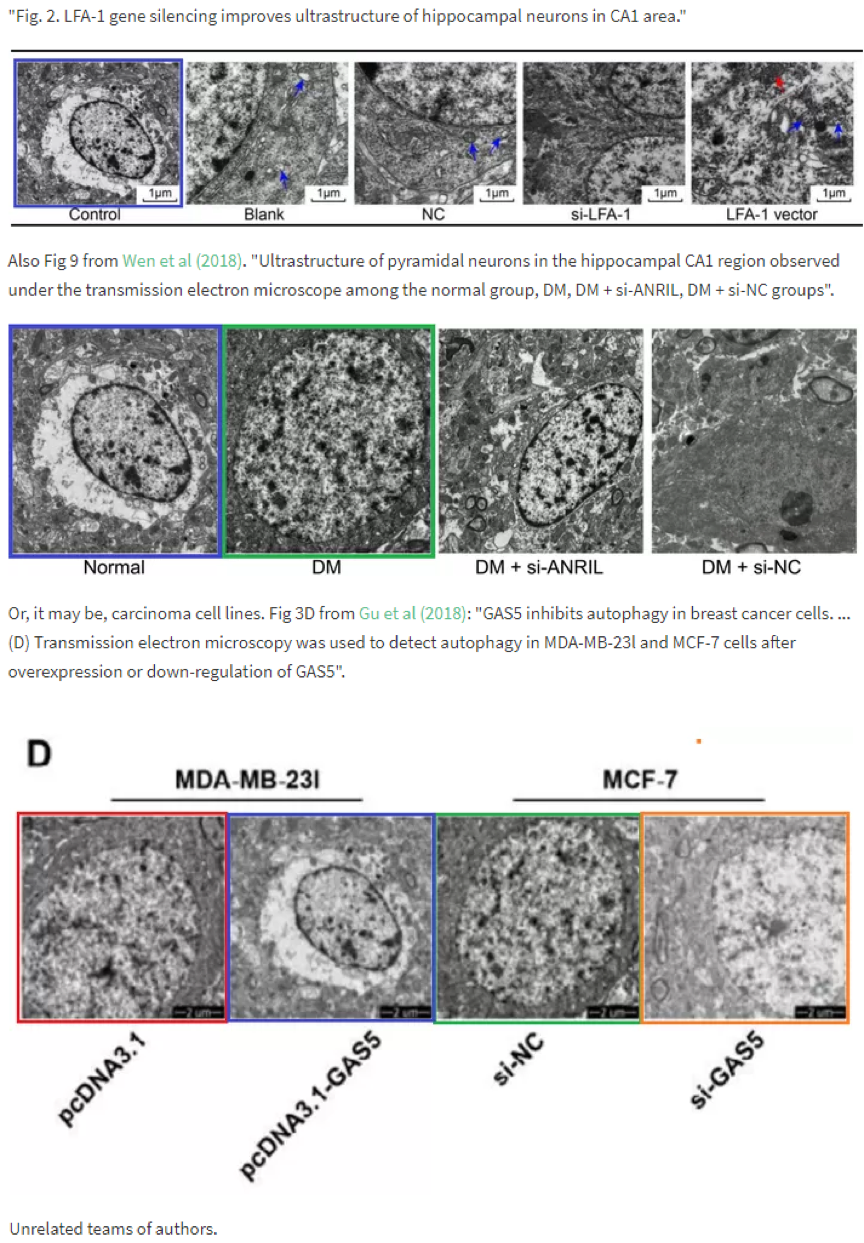 论文撤稿原因 同一批实验大鼠能被反复杀死再复活? 论文撤稿原因 同一批实验大鼠能被反复杀死再复活?