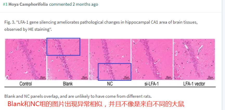 论文撤稿原因 同一批实验大鼠能被反复杀死再复活? 论文撤稿原因 同一批实验大鼠能被反复杀死再复活?