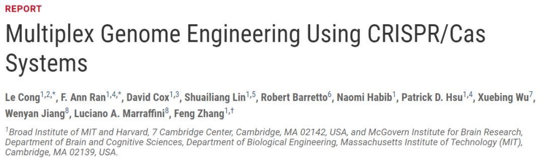 CRISPR 三巨头恩怨大结局 张锋赢得专利但错失诺奖