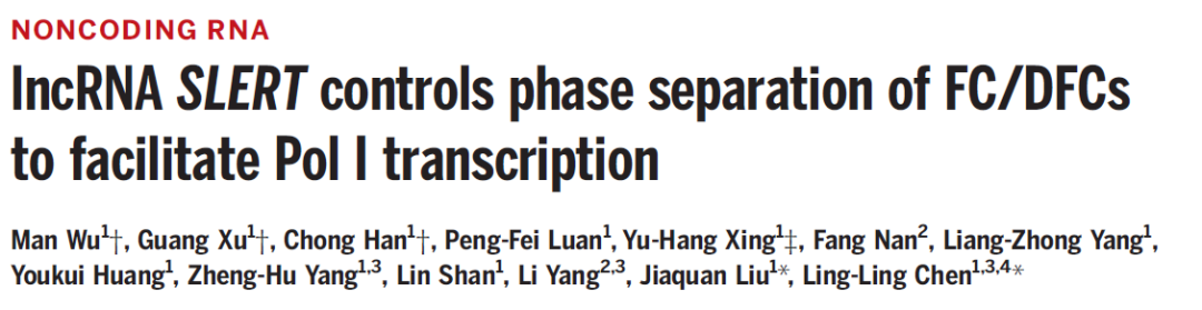 陈玲玲有望成最年轻院士