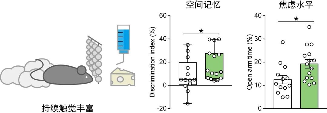 浙江大学一月内连续发表 5 篇神经科学领域高水平的论文（Neuron\NC\Cell Reports）