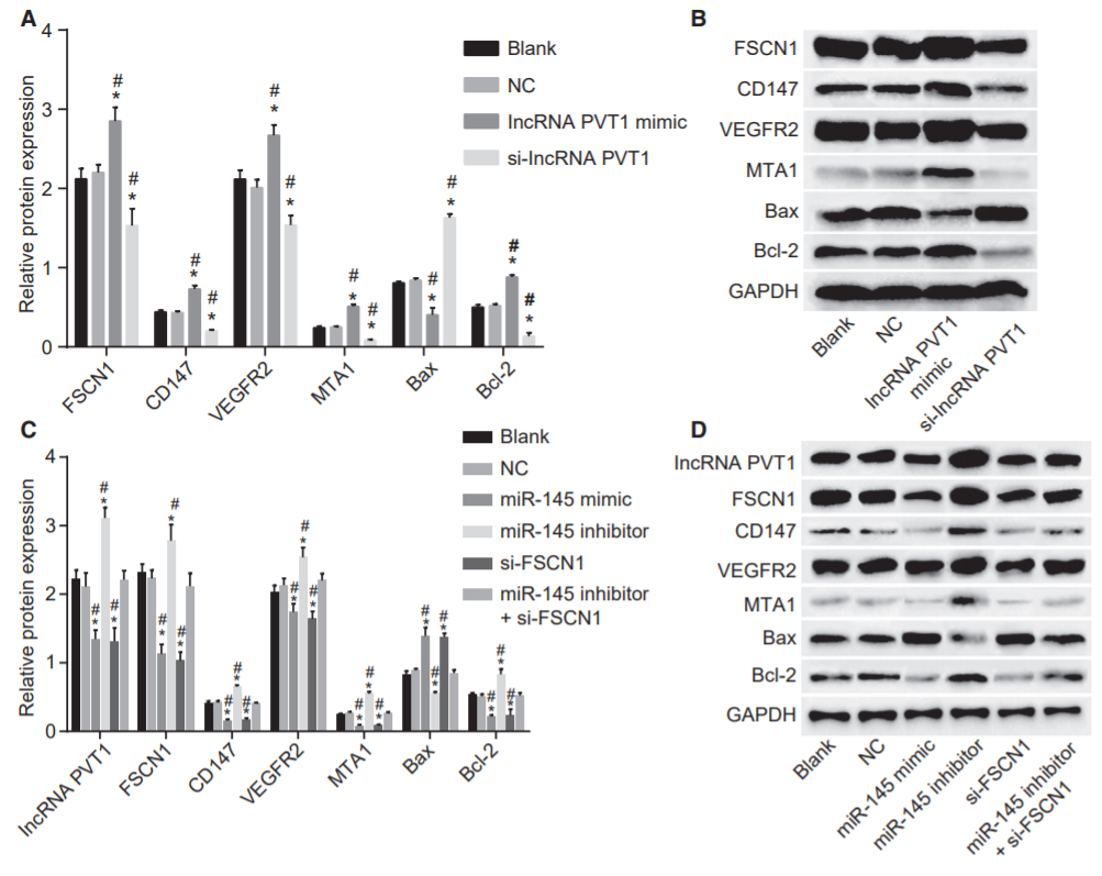 郑大附属肿瘤医院同一文章投两个高分杂志
