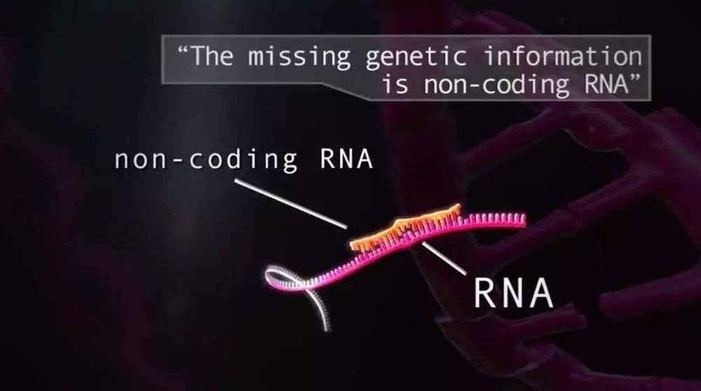 中山大学访美博士认罪 因企图携带 21 瓶癌细胞回国