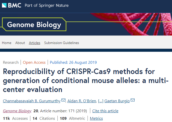 饶毅评杨辉事件：中国“无科研造假”元年，但愿“空前”也是“绝后”