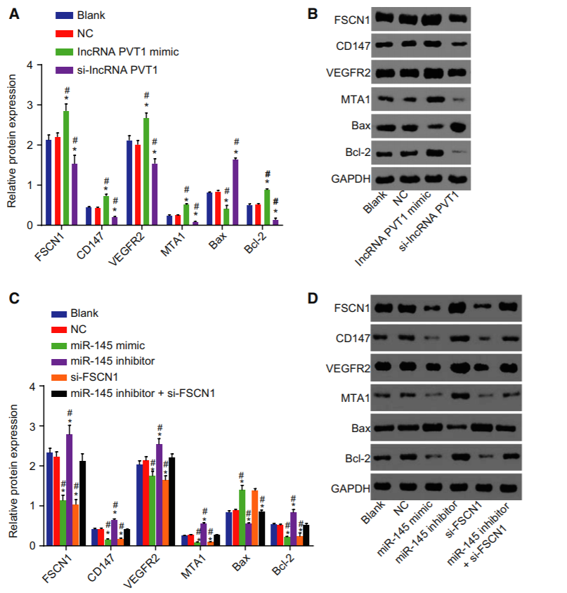 郑大附属肿瘤医院同一文章投两个高分杂志