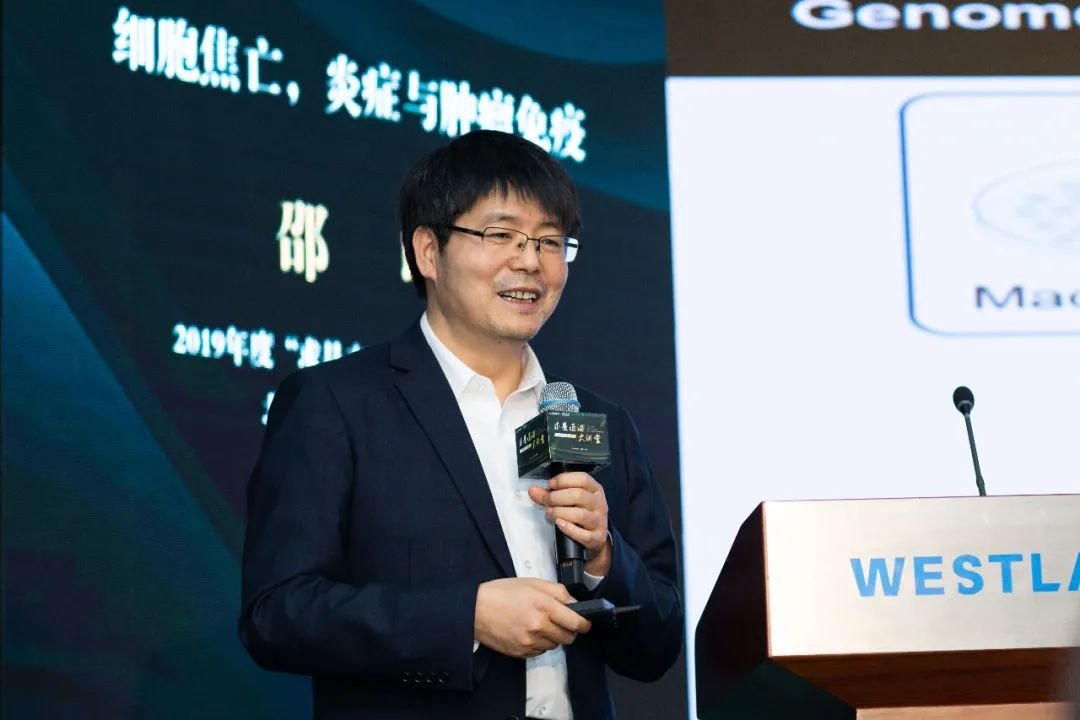 邵峰院士在西湖大学分享：读博期间差点放弃