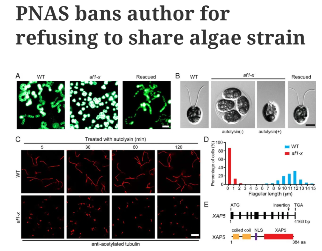 PNAS 新政: 不共享菌种信息也会被拒稿