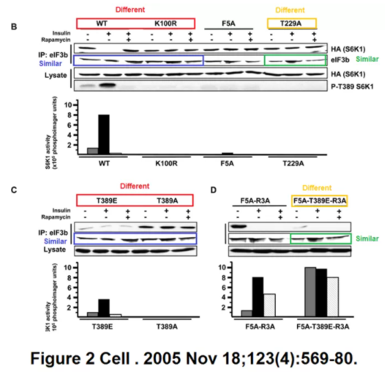 图片重复使用没有原始数据 Cell 编辑部仍不考虑撤稿