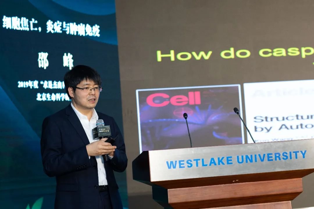 邵峰院士在西湖大学分享：读博期间差点放弃