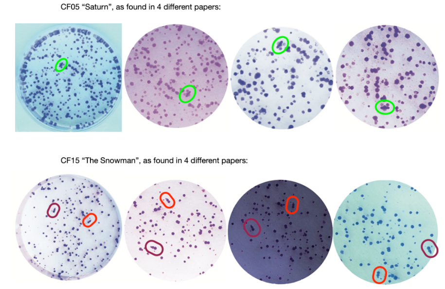 European Review for Medical and Pharmacological Sciences 批量撤稿 199 篇中国学者论文