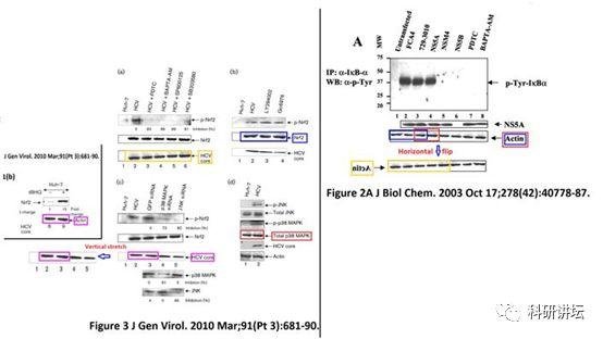 著名肝炎领域专家 Gulam Waris 连续 5 篇文章被撤稿