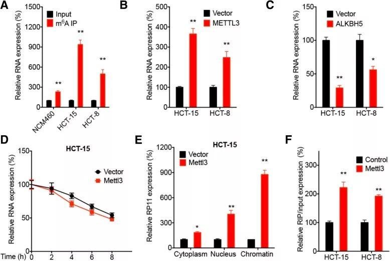 2019 年国自然两个热点研究方向（m6A、lncRNA）