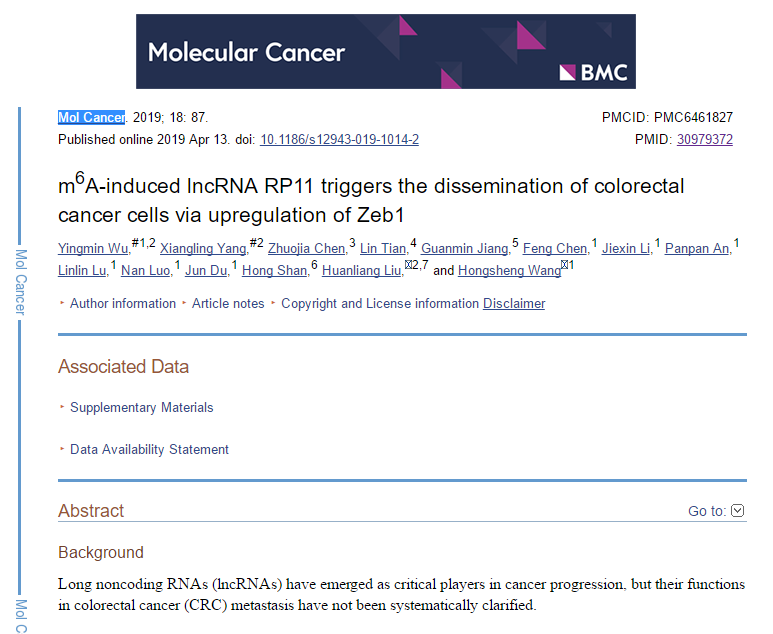 2019 年国自然两个热点研究方向（m6A、lncRNA）