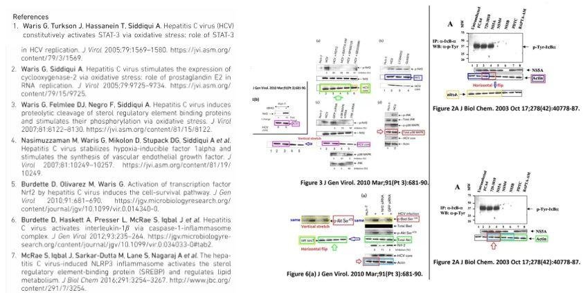 造假牛人 Gulam Waris1 年内才被撤稿 5 篇 SCI！又有 6 篇文章被质疑