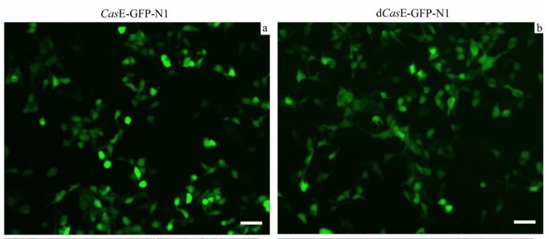 经历过人人喊打，韩春雨正式“复出”？