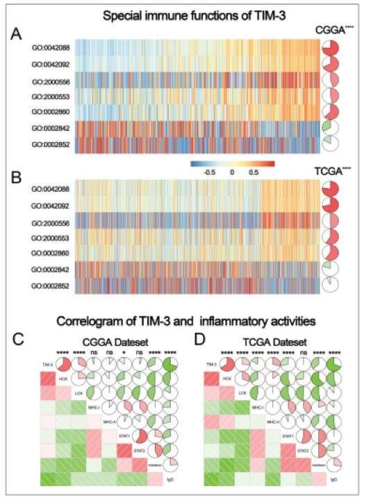 5.3 分的生信文章解读——一篇有关神经胶质瘤与 TIM- 3 基因的纯生信文章