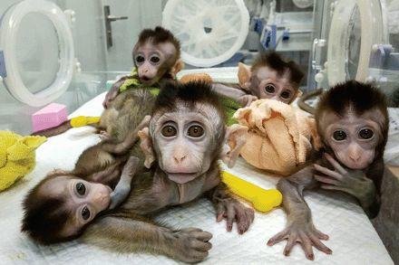 ​CRISPR 之中美对垒，中国强势崛起，正在成为全球领军者！