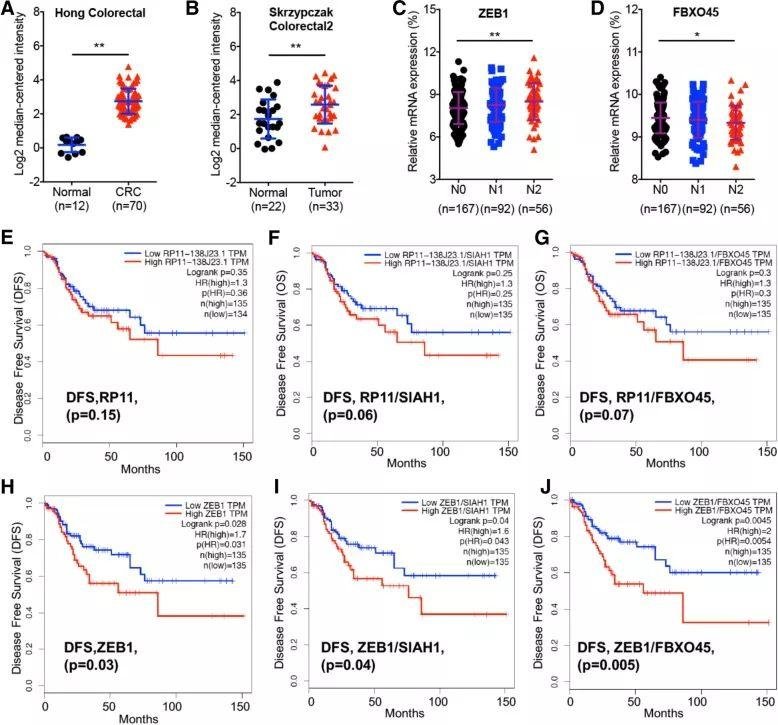 2019 年国自然两个热点研究方向（m6A、lncRNA）