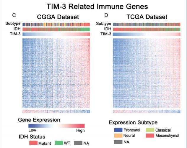 5.3 分的生信文章解读——一篇有关神经胶质瘤与 TIM- 3 基因的纯生信文章