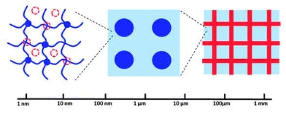 Science Advances (IF 11.51): 新任华人副主编 MIT 赵选贺教授