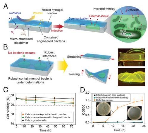 Science Advances (IF 11.51): 新任华人副主编 MIT 赵选贺教授